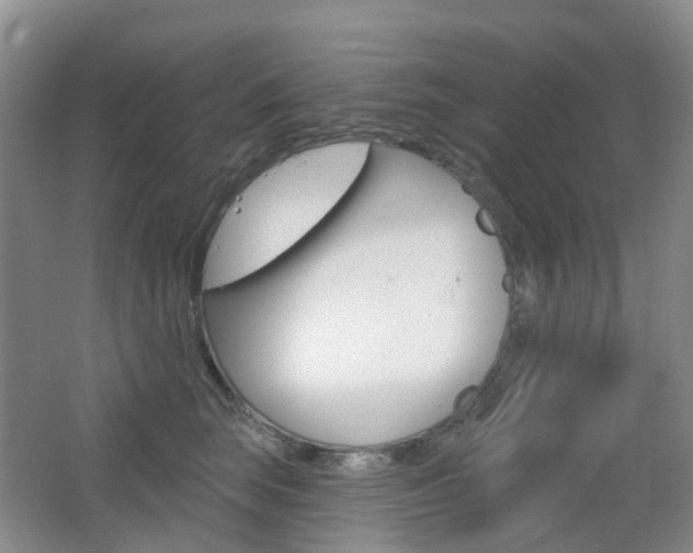 X0000065230663200602170929