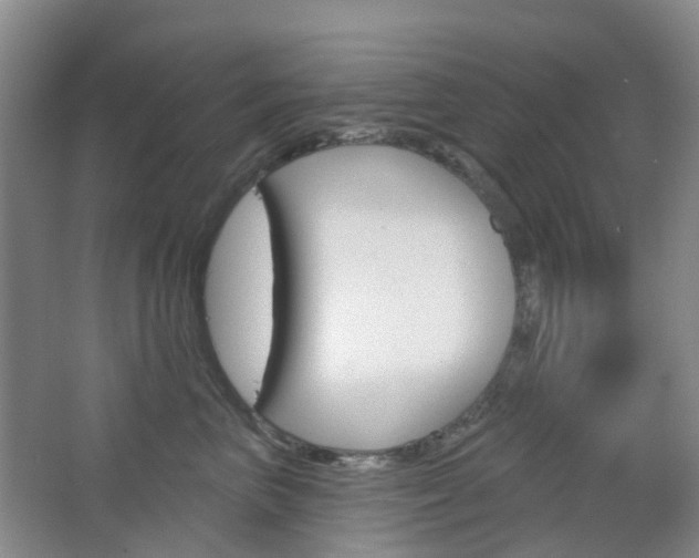 X0000065230667200602170929