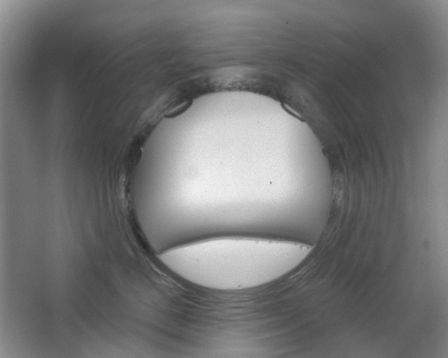 X0000065230670200602170929
