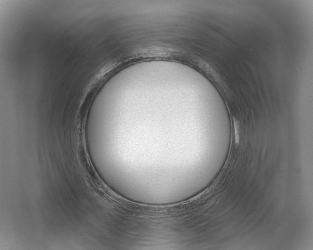 X0000065230675200602170929