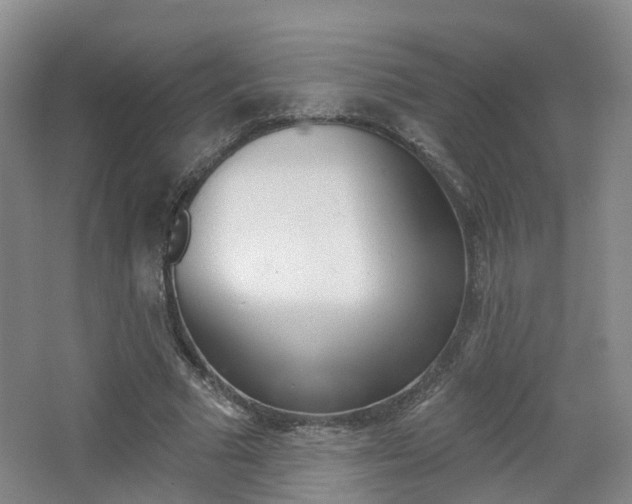 X0000065230681200602170928