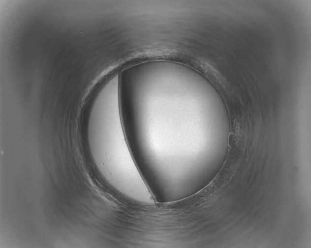 X0000065230684200602170928