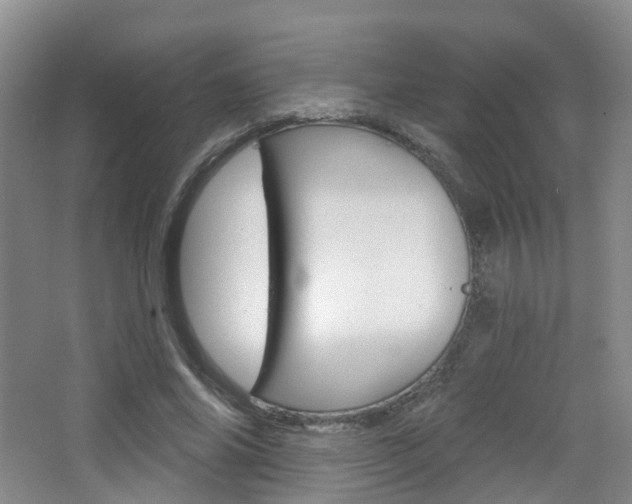 X0000065230686200602170928