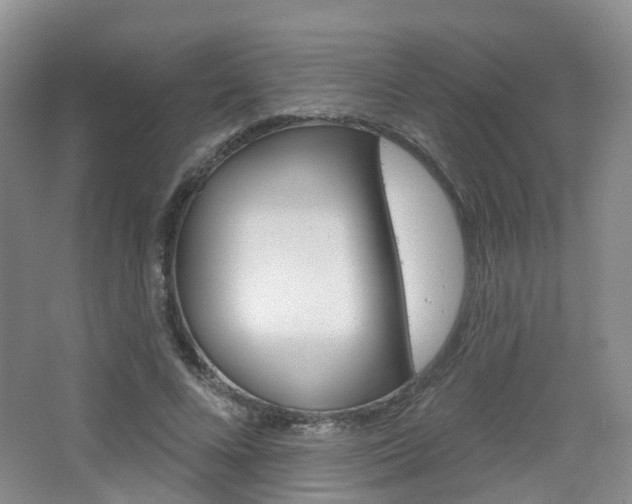 X0000065230688200602170928