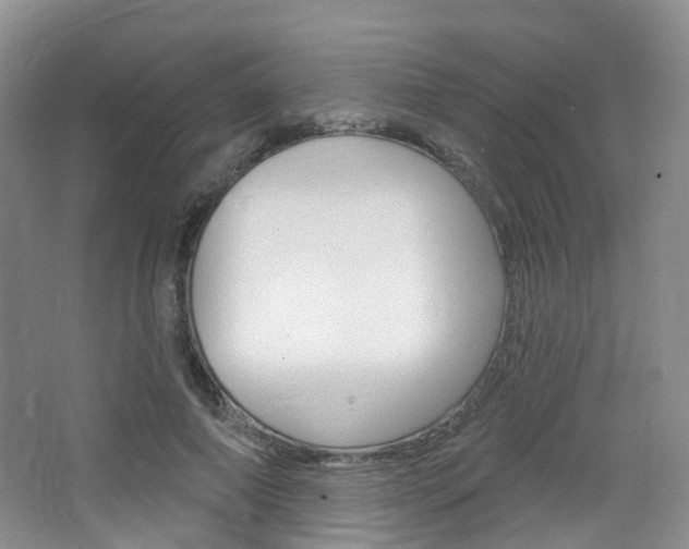 X0000065230690200602170928