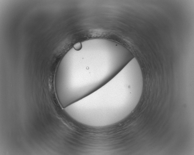 X0000065230691200602170928