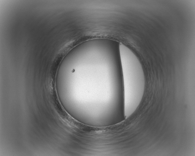 X0000065230692200602170928