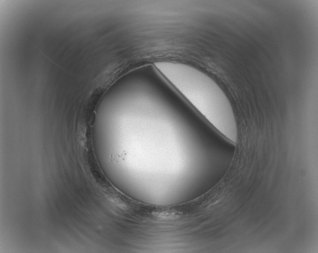 X0000065230693200602170928