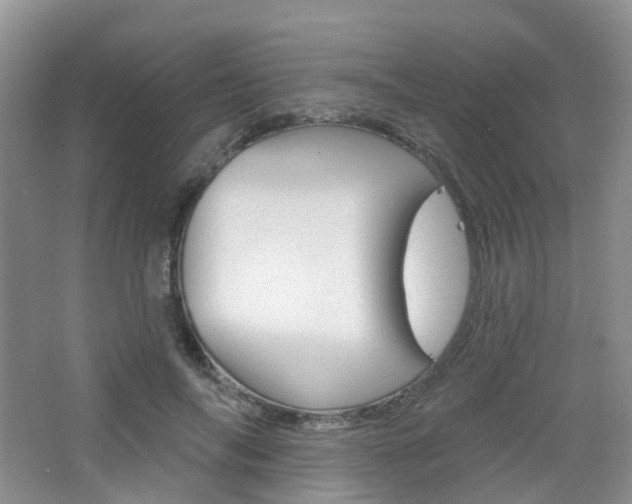 X0000065230694200602170928