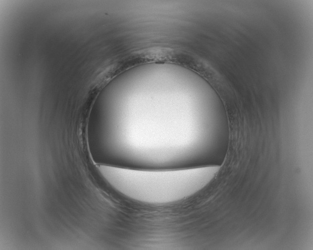 X0000065230696200602170928