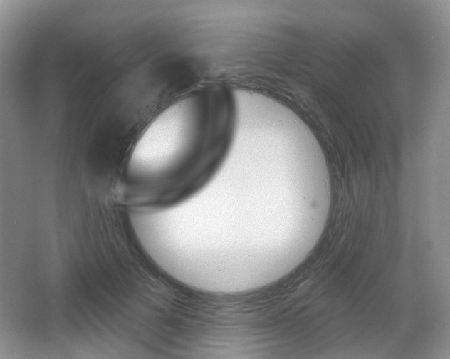 X0000065230697200602170928