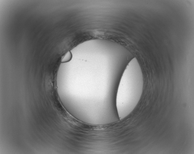 X0000065230702200602170928