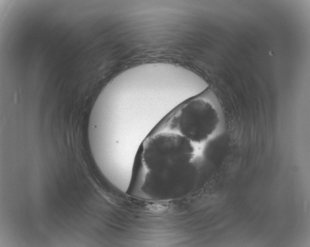 X0000065230703200602170928