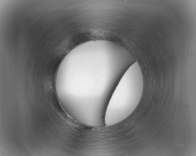 X0000065230706200602170928