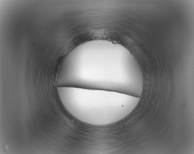 X0000065230707200602170928