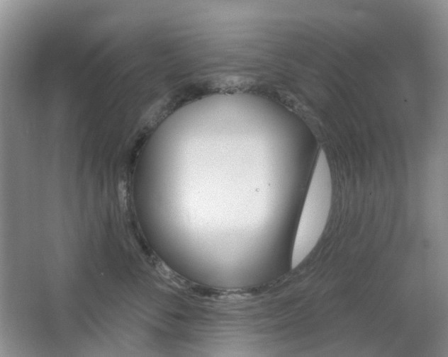 X0000065230716200602170928