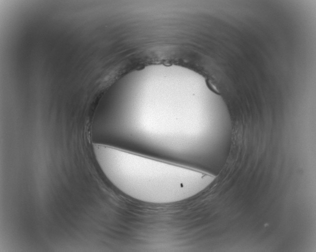 X0000065230719200602170928