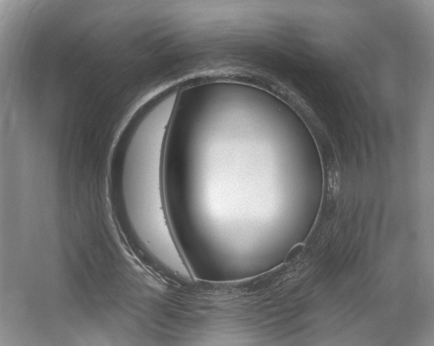X0000065230724200602170927