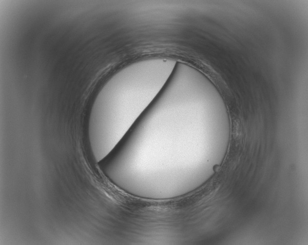X0000065230733200602170927