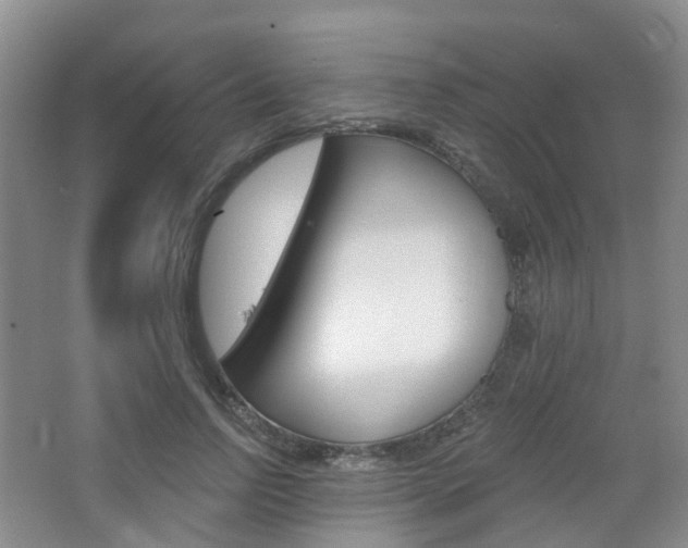 X0000065230742200602170927