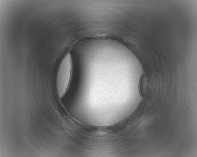 X0000065230743200602170927