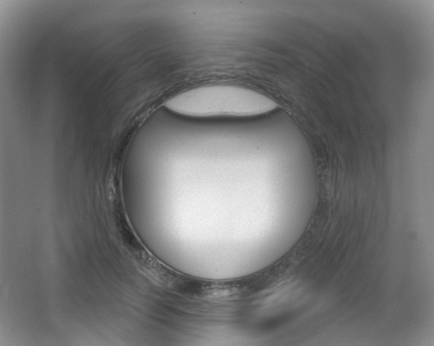 X0000065230746200602170927