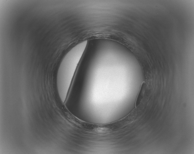 X0000065230748200602170927