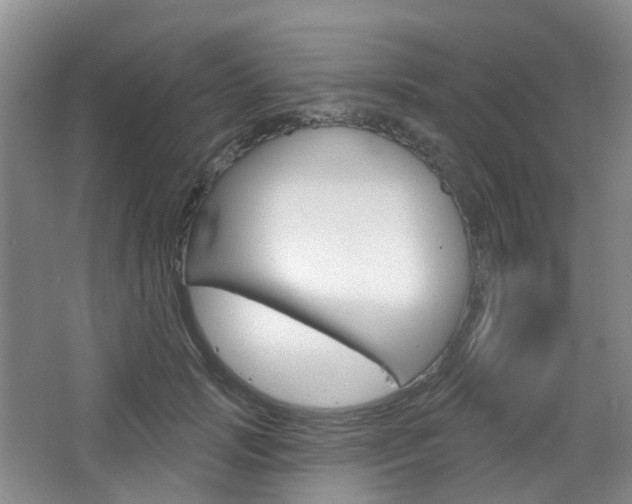 X0000065230749200602170927