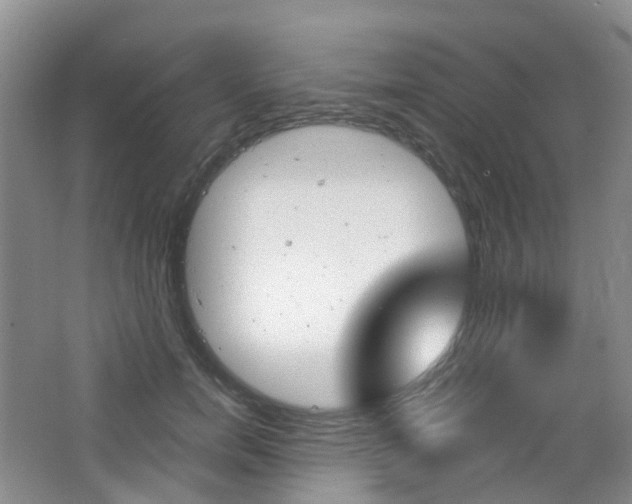 X0000065230750200602170928