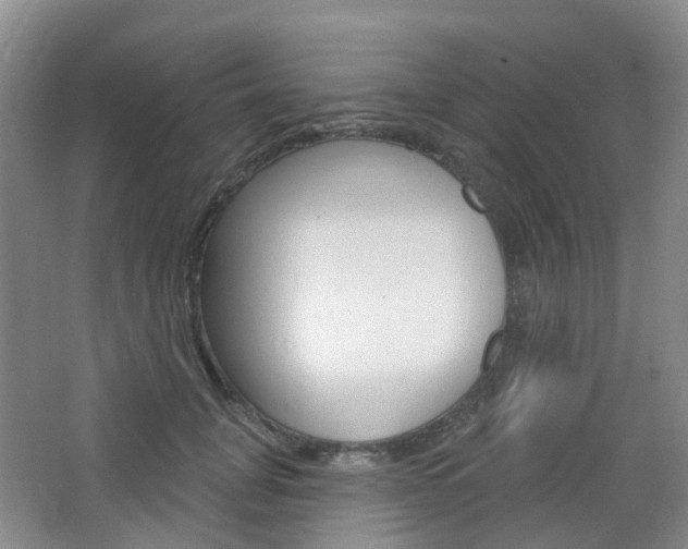 X0000065230751200602170928