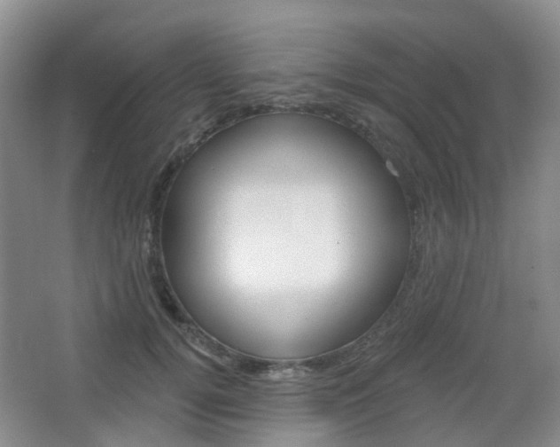 X0000065230752200602170928