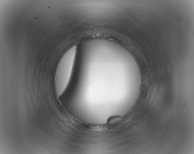 X0000065230754200602170928