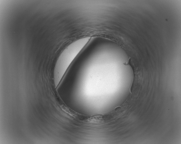 X0000065230756200602170928