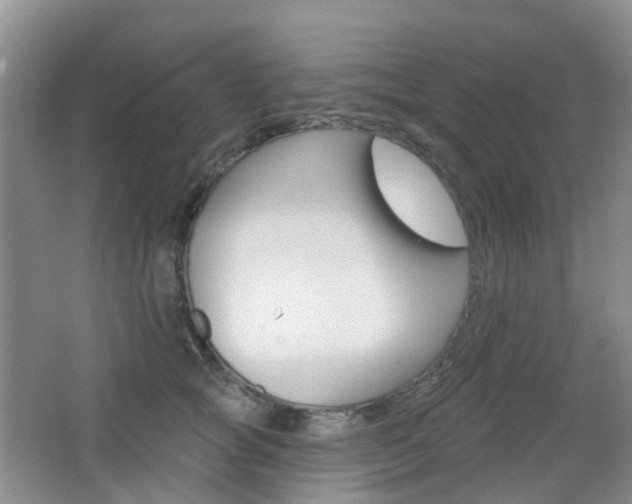 X0000065230757200602170928