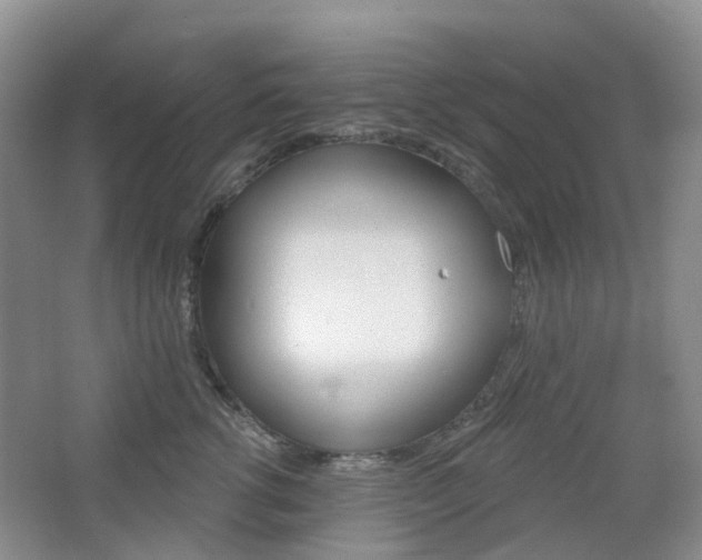 X0000065230762200602170928