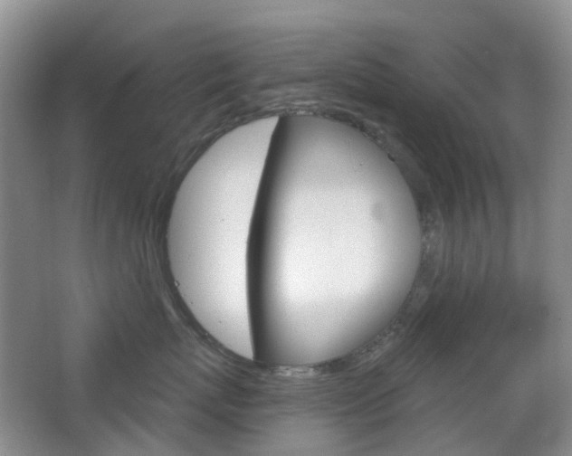 X0000065230767200602170928