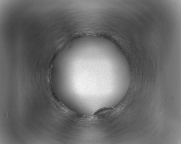 X0000065230768200602170928