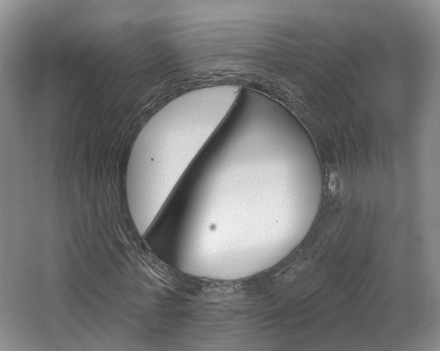 X0000065230771200602170927