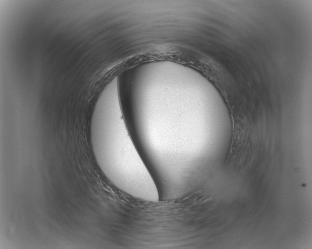 X0000065230773200602170927
