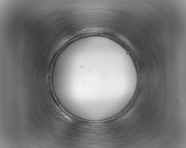 X0000065230778200602170927