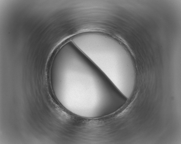X0000065230779200602170927