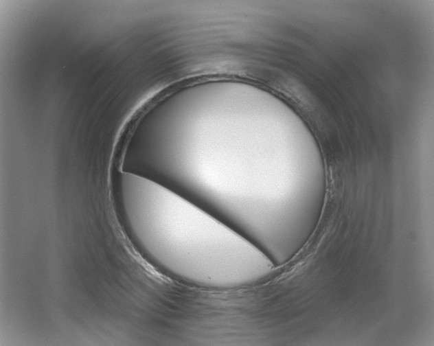 X0000065230780200602170927