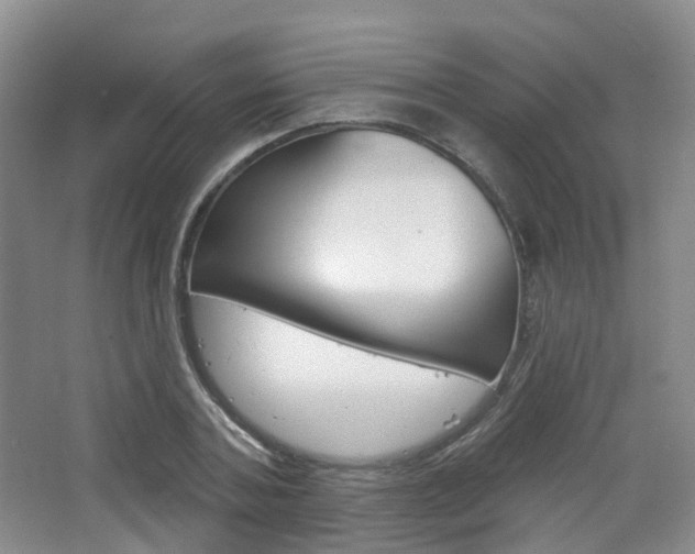 X0000065230787200602170927