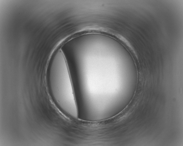 X0000065230791200602170927