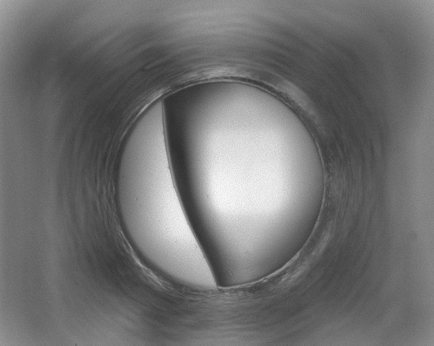 X0000065230793200602170927