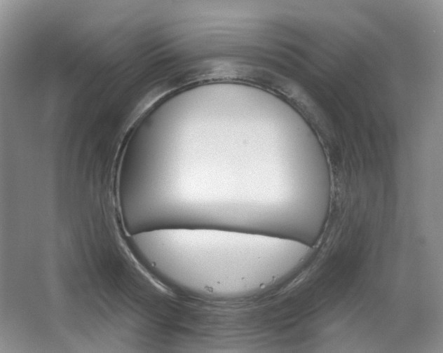 X0000065230794200602170927