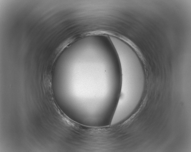 X0000065230809200602170926
