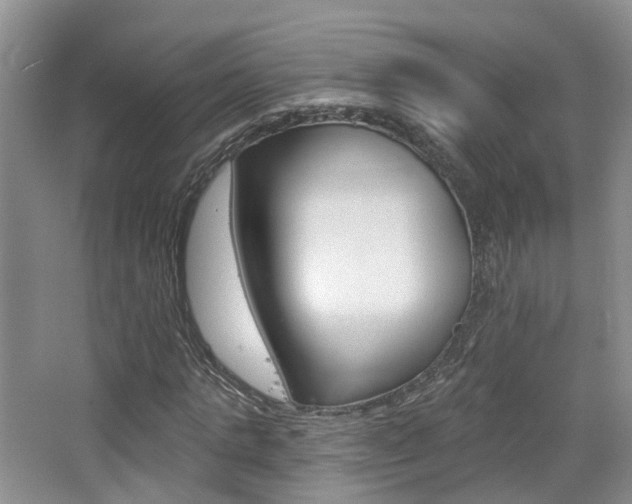 X0000065230821200602170925