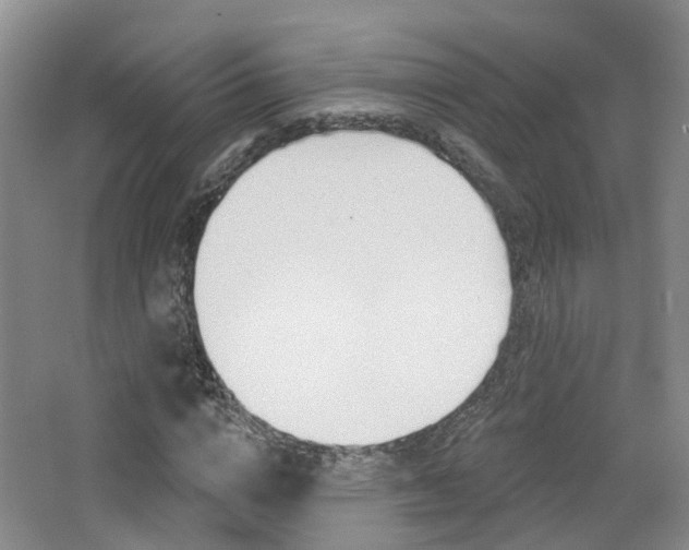 X0000065230824200602170926