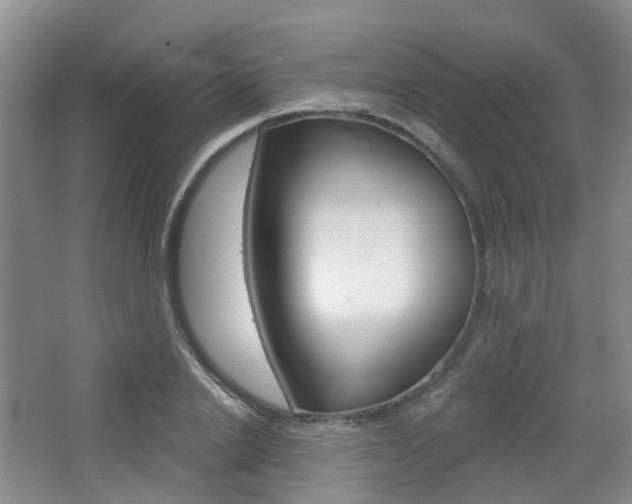X0000065230838200602170926